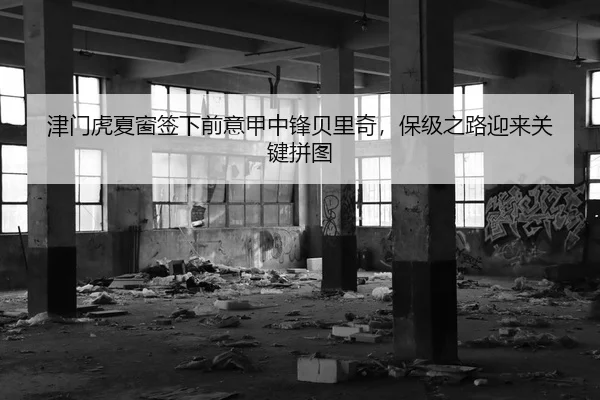津门虎夏窗签下前意甲中锋贝里奇，保级之路迎来关键拼图