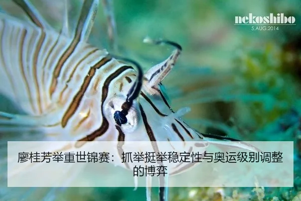 liao-gui-fang-ju-zhong-shi-jin-sai-zhua-ju-ting-ju-wen-ding-xing-yu-ao-yun-ji-bie-tiao-zheng-de-bo-yi-3-622.jpg