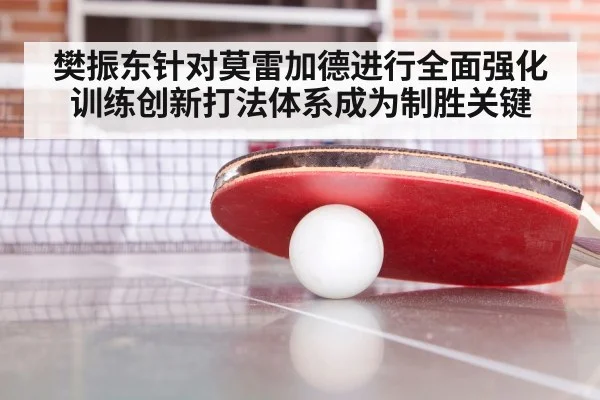 樊振东针对莫雷加德进行全面强化训练创新打法体系成为制胜关键