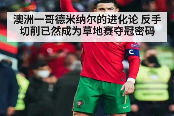 澳洲一哥德米纳尔的进化论 反手切削已然成为草地赛夺冠密码